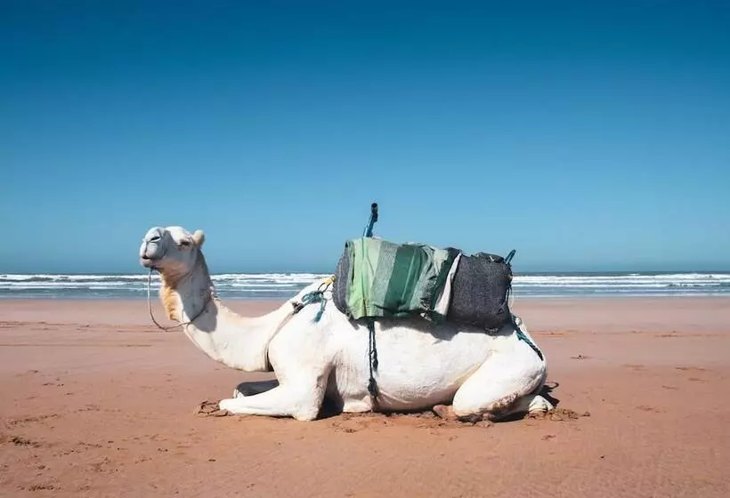 Fotos del hotel Dar Dayana:  15