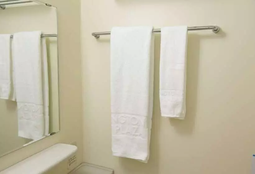 Fotos del hotel Nagoya Sakae Washington  Plaza:  9