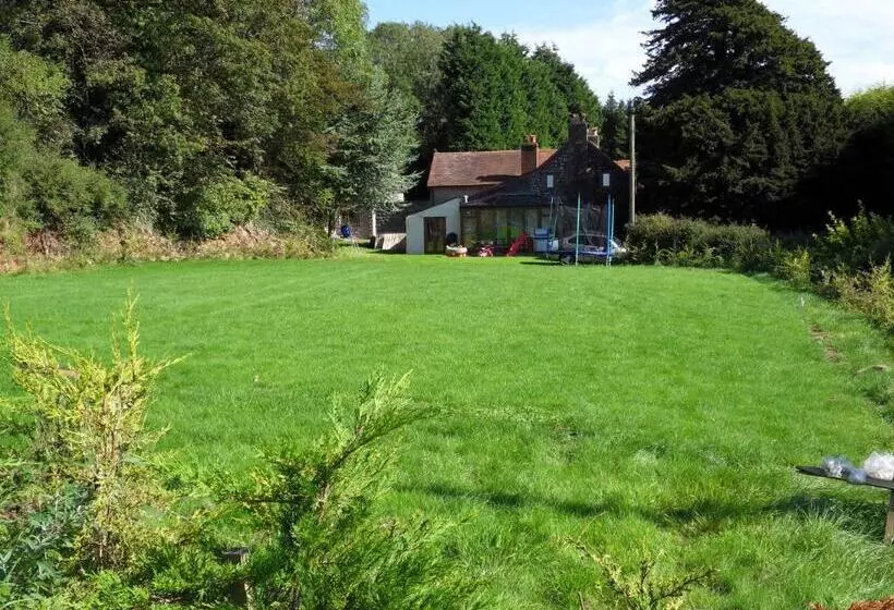 Fotos del hotel Acorns Guest House:  10