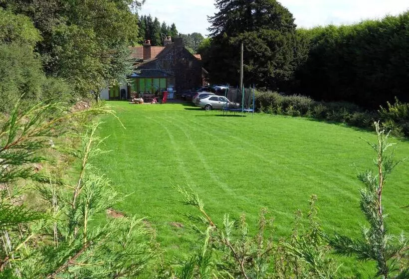 Fotos del hotel Acorns Guest House:  13