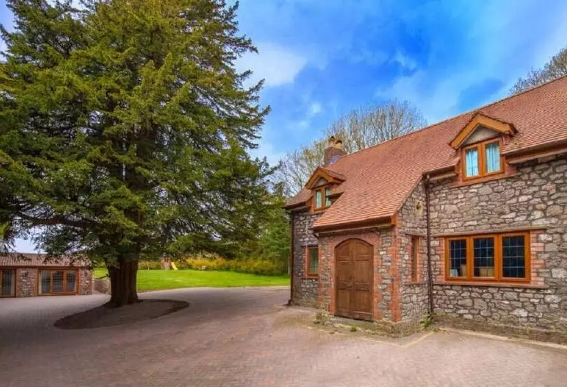 Fotos del hotel Acorns Guest House:  8