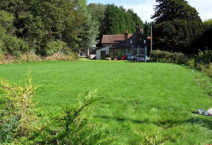 Fotos del hotel Acorns Guest House:  16