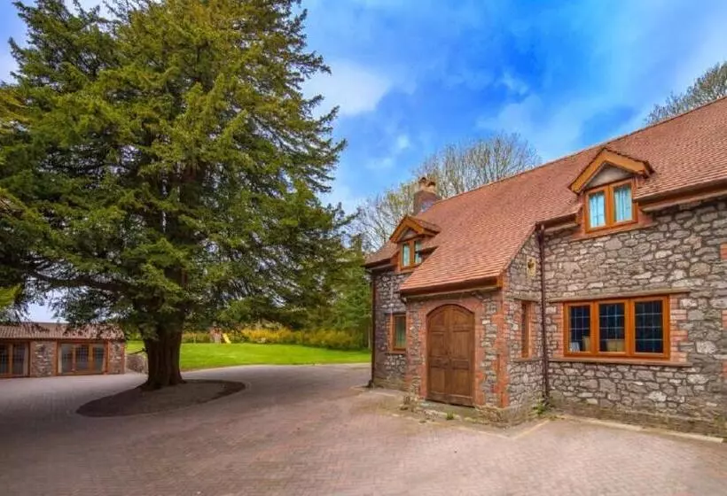 Fotos del hotel Acorns Guest House:  5