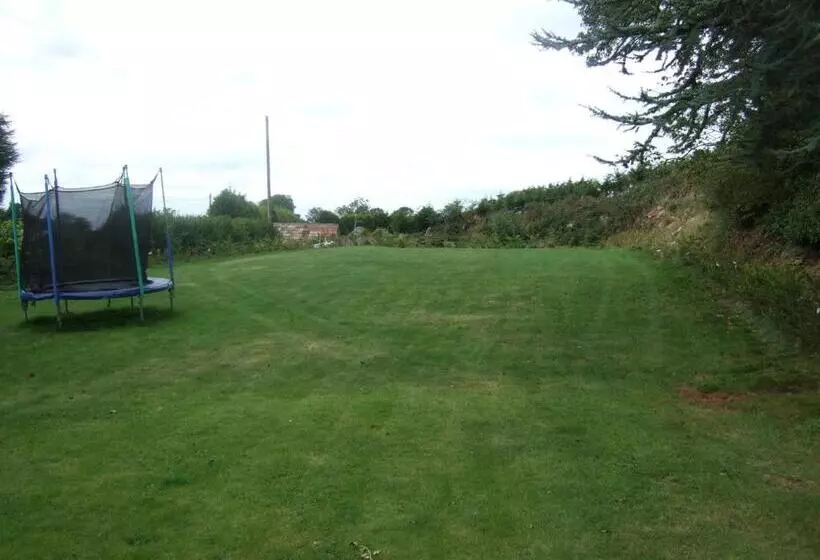 Fotos del hotel Acorns Guest House:  2