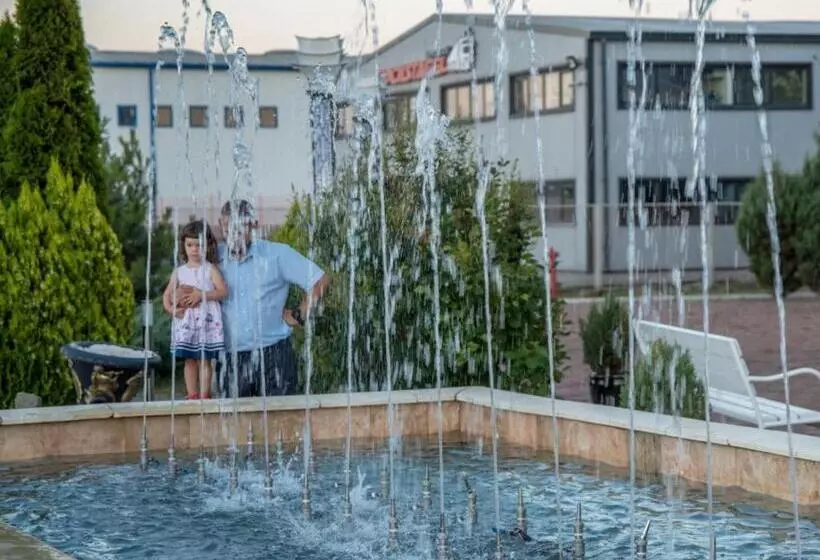 Fotos del hotel Arta:  4