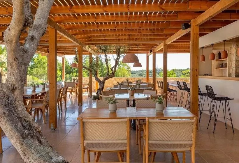 Fotos del hotel Paliokaliva Village:  23