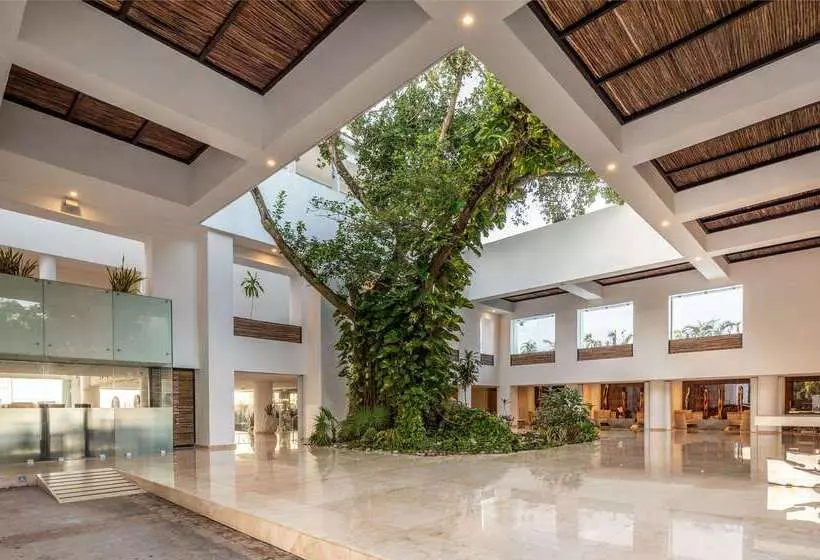 Fotos del hotel Playacar Palace  All Inclusive:  3