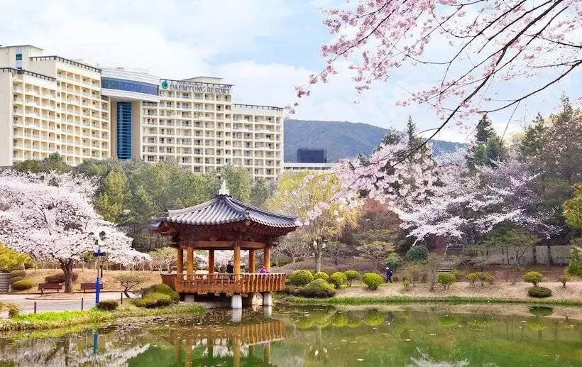 Fotos del hotel Sono Belle Gyeongju:  21