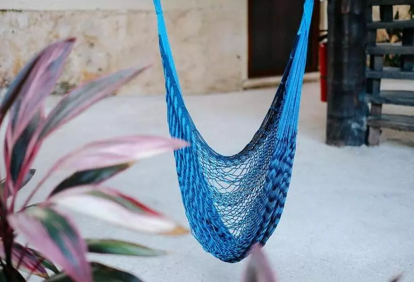 Fotos del hotel Uolis Nah:  9