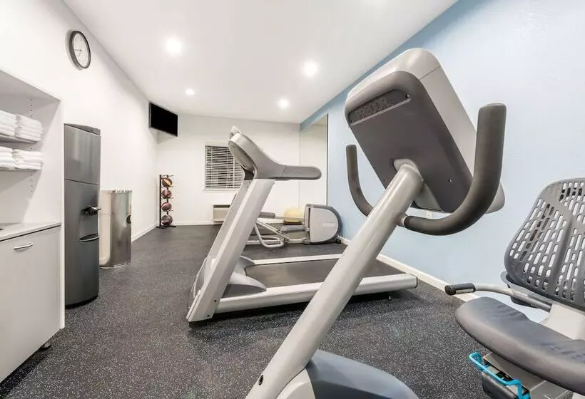 Fotos del hotel Days Inn & Suites By Wyndham Dallas:  3