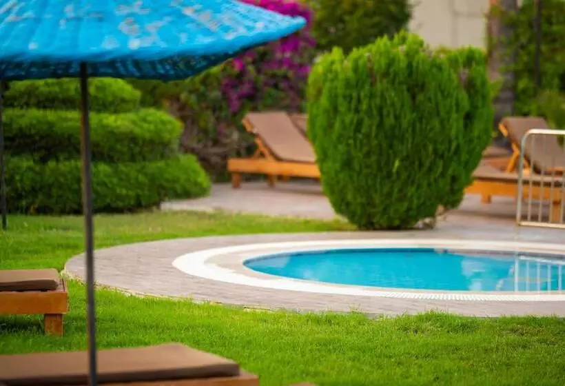 Fotos del hotel Golden Moon:  8