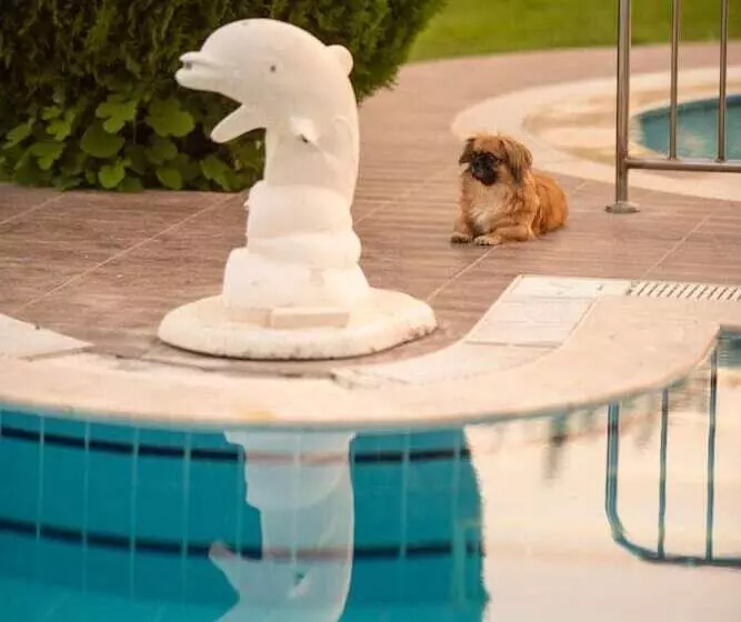 Fotos del hotel Golden Moon:  17