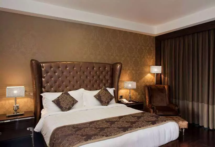 Fotos del hotel Radisson Blu Hotel New Delhi Paschim Vihar:  8