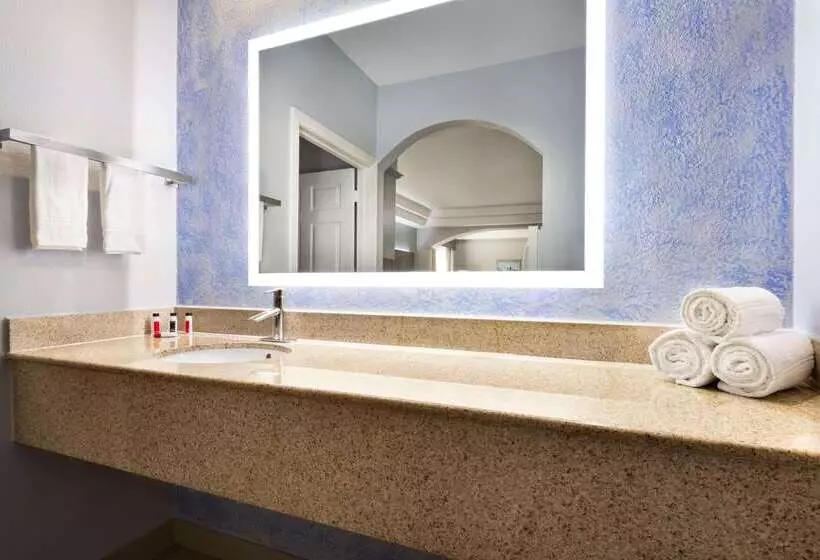 Fotos del hotel Days Inn & Suites By Wyndham Houston Hobby Airport:  9