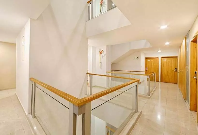 Fotos del hotel Basic Ms Centenario:  7