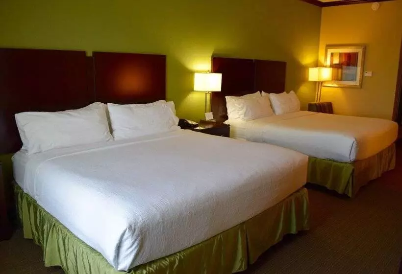 Fotos del hotel Holiday Inn Houston West Energy Corridor, An Ihg:  16
