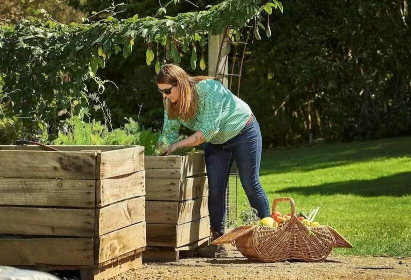 Fotos del hotel Woodman Estate Luxury Country:  5