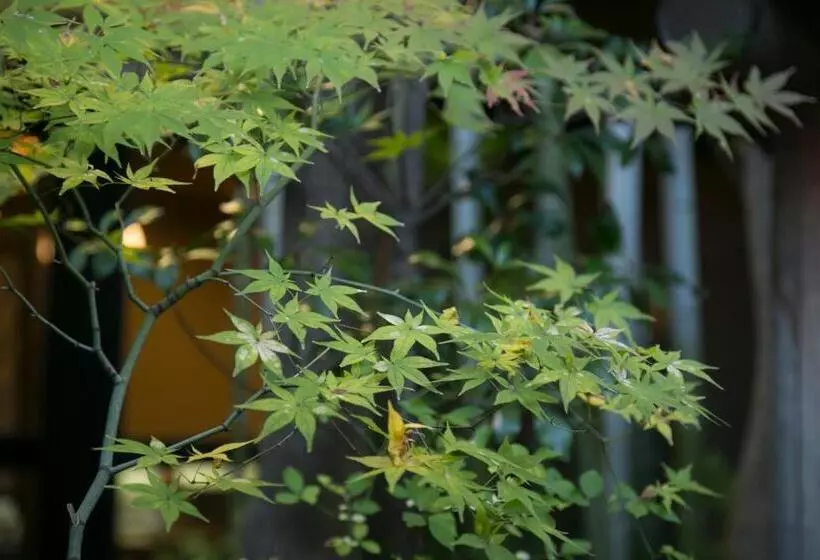 Fotos del hotel Yoshiima:  10