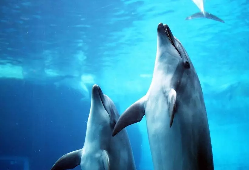 Fotos del hotel Nature Nagoyasakae:  15