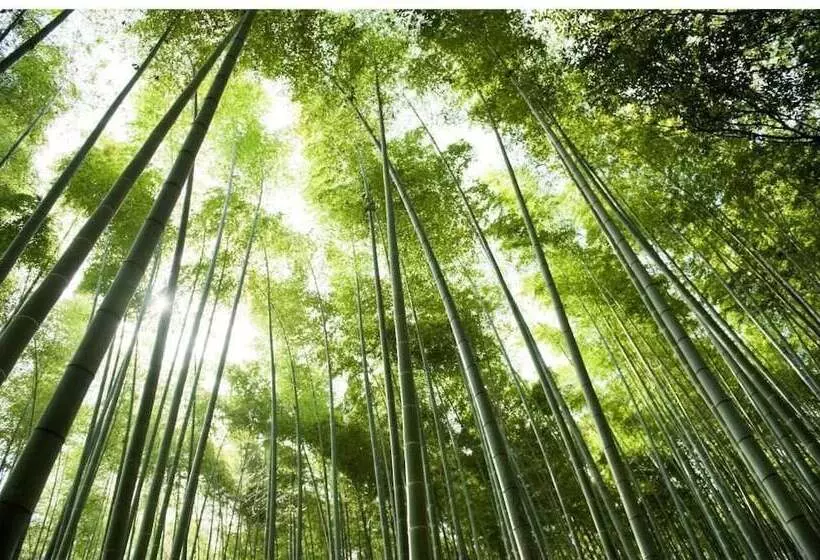 Fotos del hotel Ranzan:  4