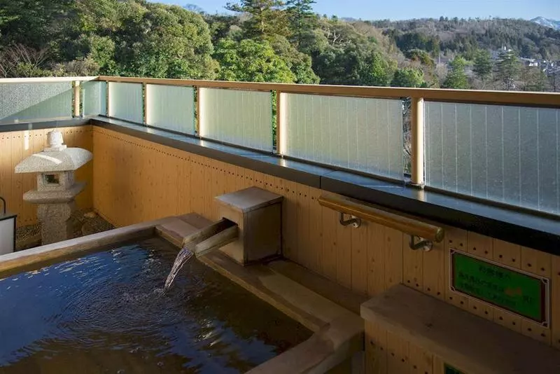 Fotos del hotel Tachibana Shikitei:  16