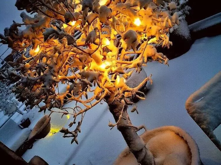 Fotos del hotel Abbraccia Morfeo Roma:  9