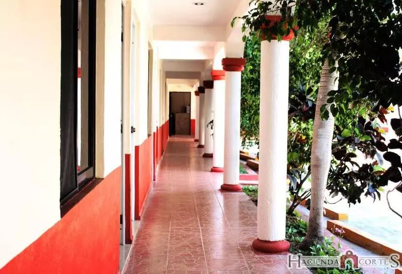 Fotos del hotel Hotel Cortijo De Cortes:  14