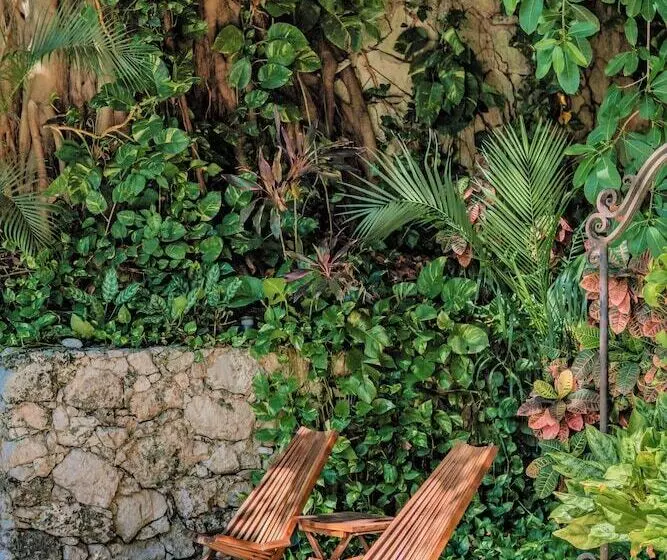 Fotos del hotel Maison Del Embajador:  12