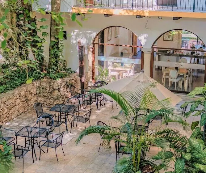 Fotos del hotel Maison Del Embajador:  13