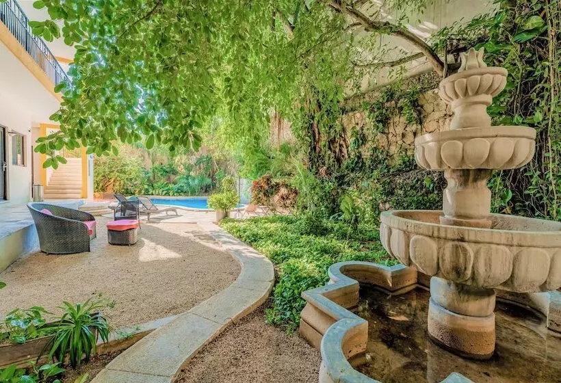 Fotos del hotel Maison Del Embajador:  5