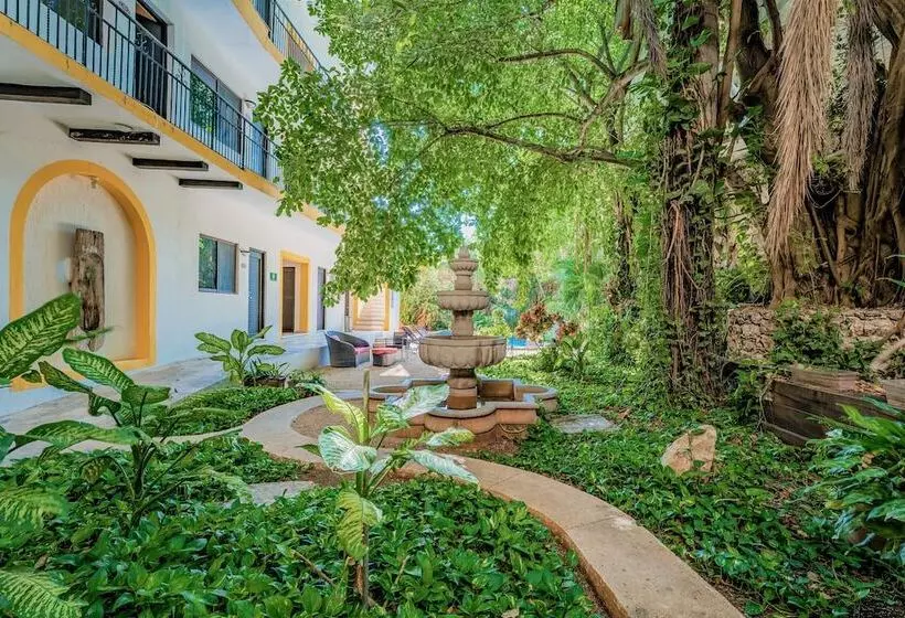 Fotos del hotel Maison Del Embajador:  15