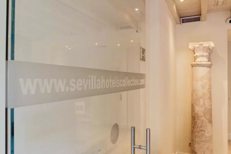 Fotos del hotel Boutique Elvira Plaza:  16