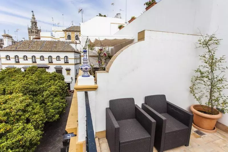 Fotos del hotel Boutique Elvira Plaza:  22