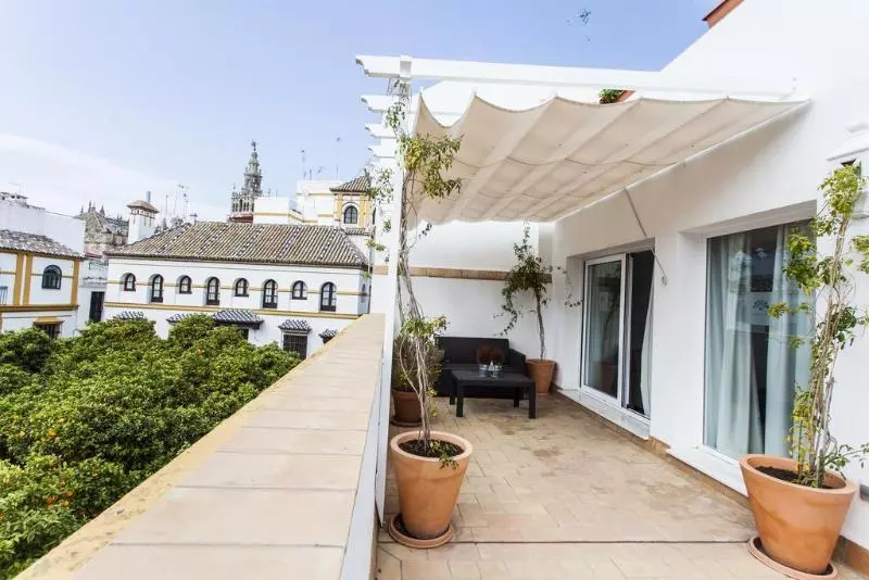 Fotos del hotel Boutique Elvira Plaza:  4