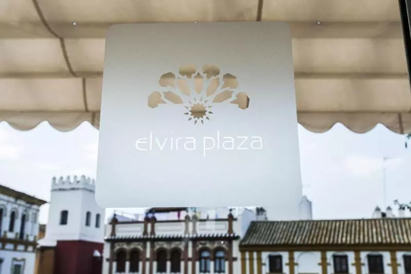Fotos del hotel Boutique Elvira Plaza:  6