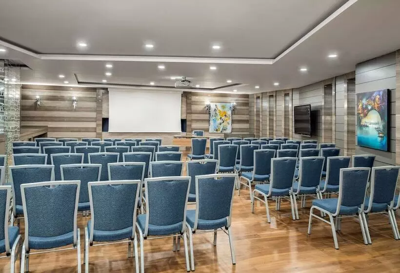 Fotos del hotel Radisson Blu Hotel, Istanbul Sisli:  20