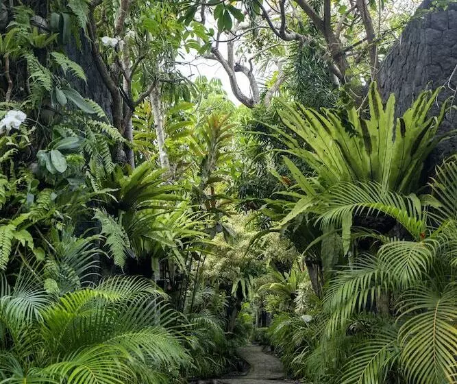 Fotos del hotel The Bali Dream Villa & Resort Echo Beach Canggu:  6