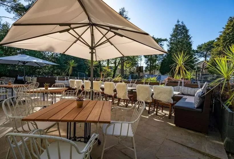 Fotos del hotel The Pavilion Arms:  5