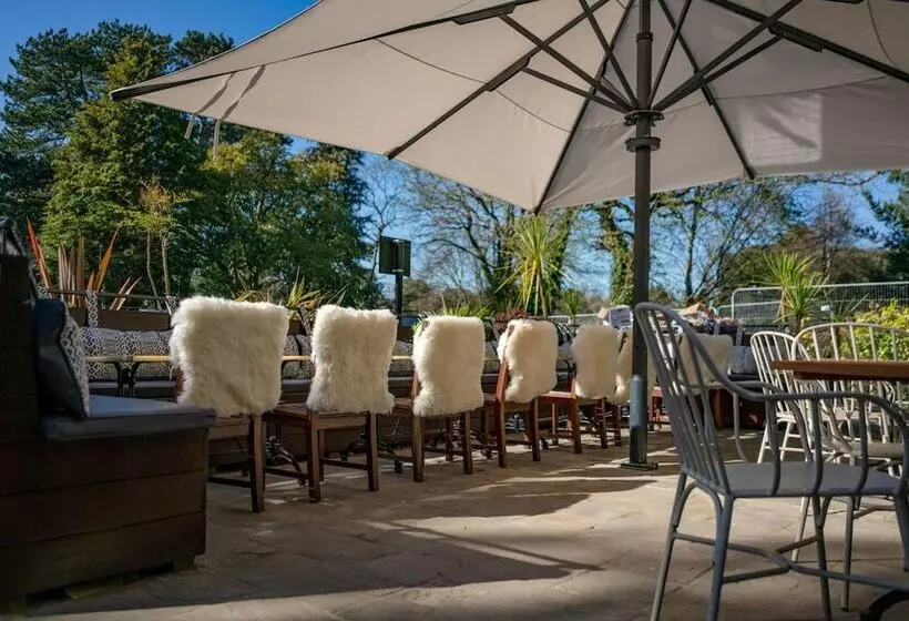 Fotos del hotel The Pavilion Arms:  11