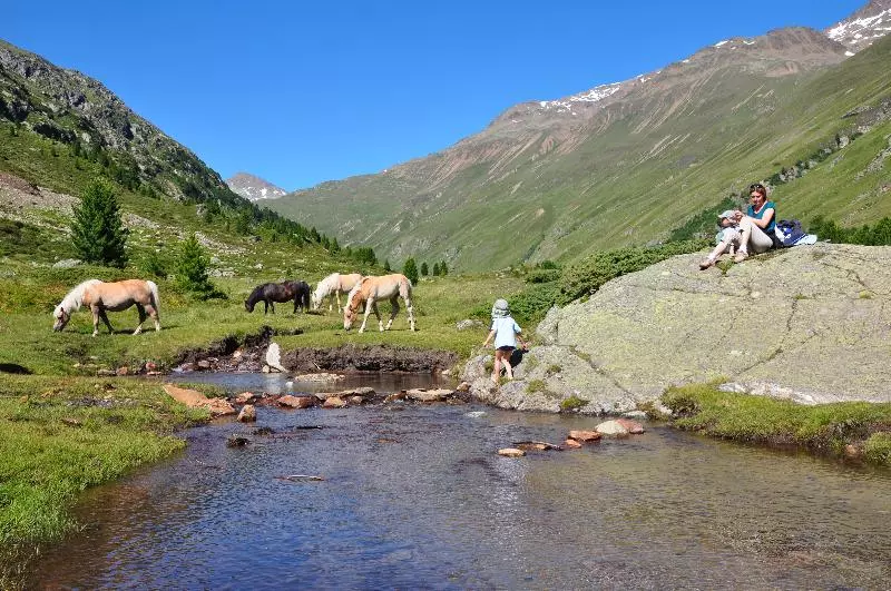 Fotos del hotel Kleon:  7