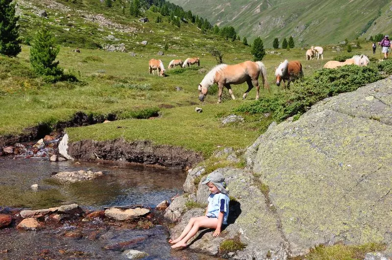 Fotos del hotel Kleon:  13