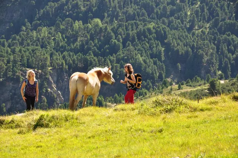 Fotos del hotel Kleon:  6