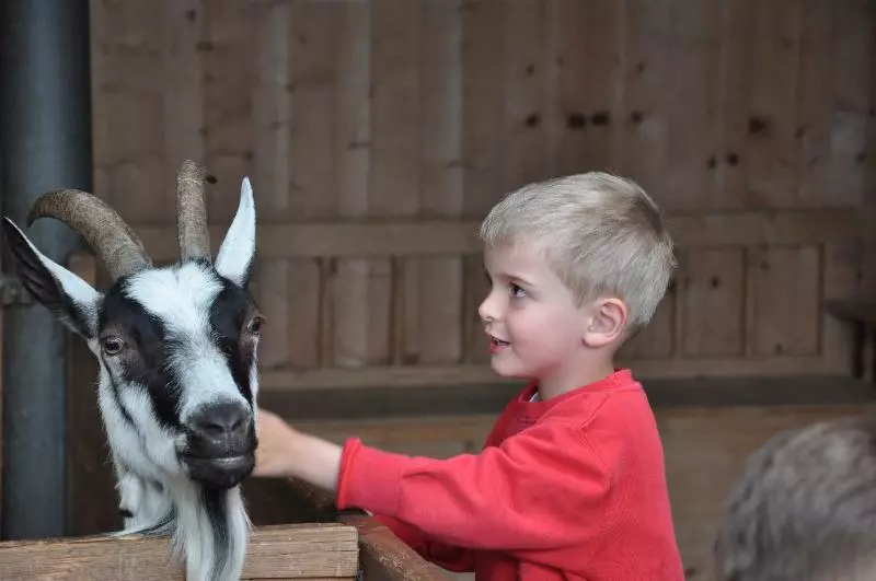 Fotos del hotel Kleon:  9