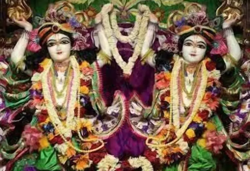 Fotos del hotel Ivory 32:  21