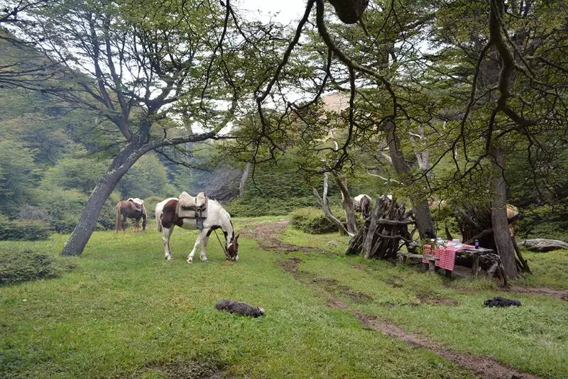 Fotos del hotel Remota:  6