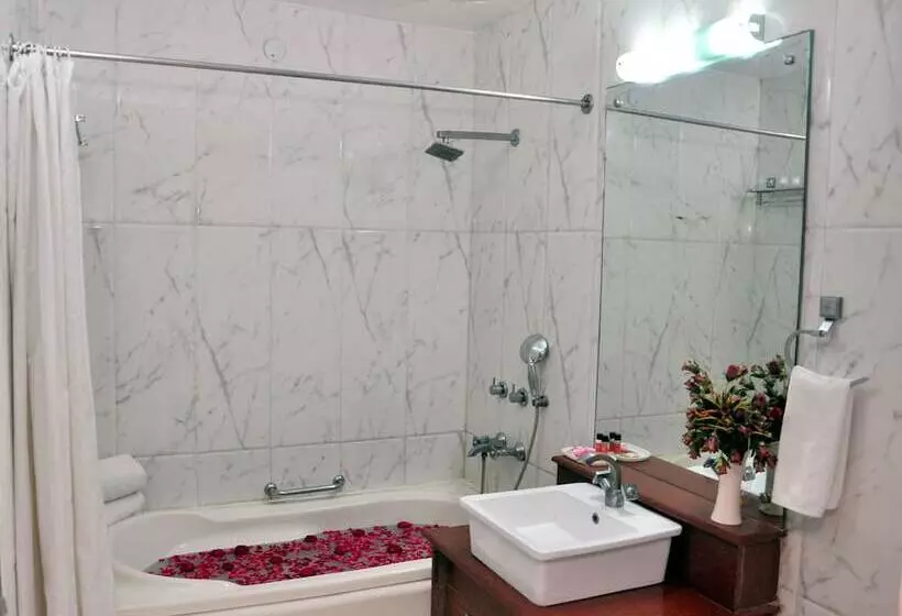 Fotos del hotel Sun  Agra:  12