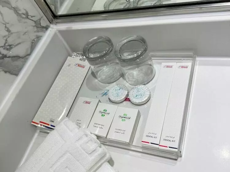 Fotos del hotel Fortune Plaza Hotel, Dubai Airport:  15