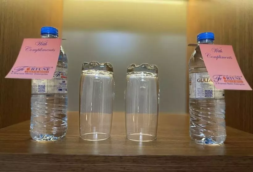Fotos del hotel Fortune Plaza Hotel, Dubai Airport:  6