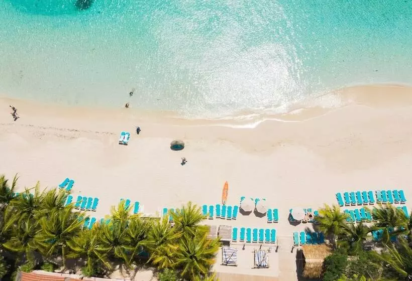 Fotos del hotel Mayan Princess Beach & Dive Resort:  14