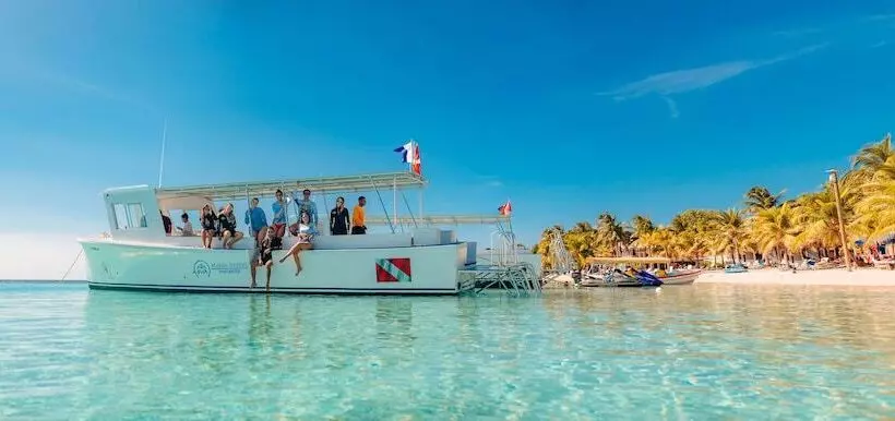 Fotos del hotel Mayan Princess Beach & Dive Resort:  3